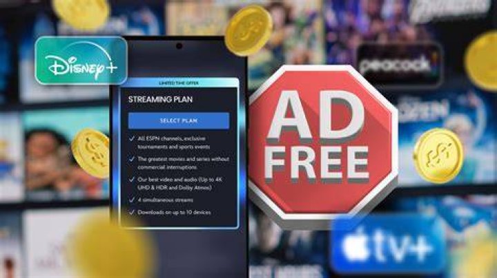 Ad-free streaming experience on premium adult platform