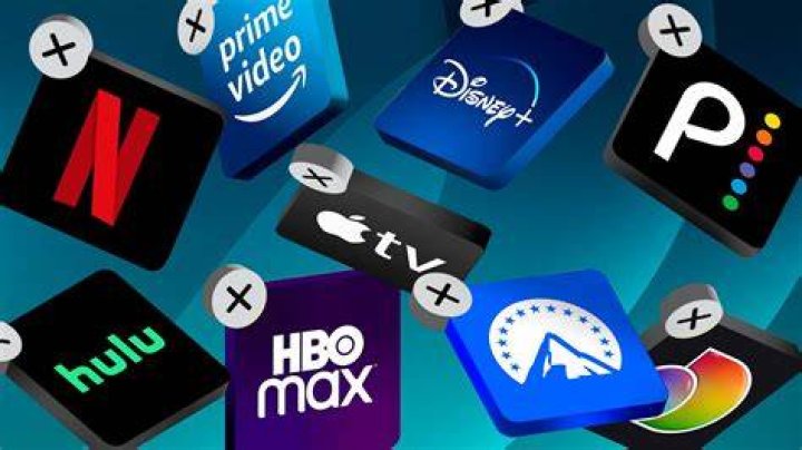 Adult content variety and niche categories on streaming platform