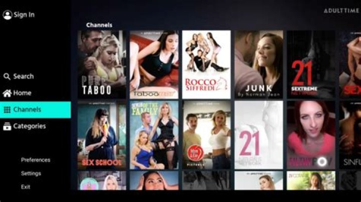 Overview of adult streaming platform fmybrainsout.com