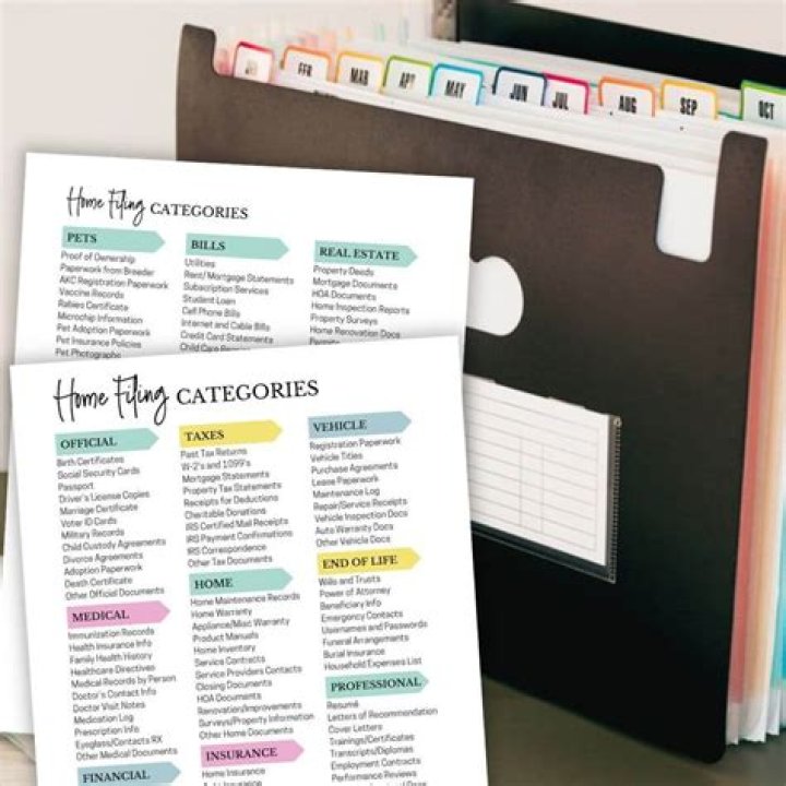 Adult video library content organization categories