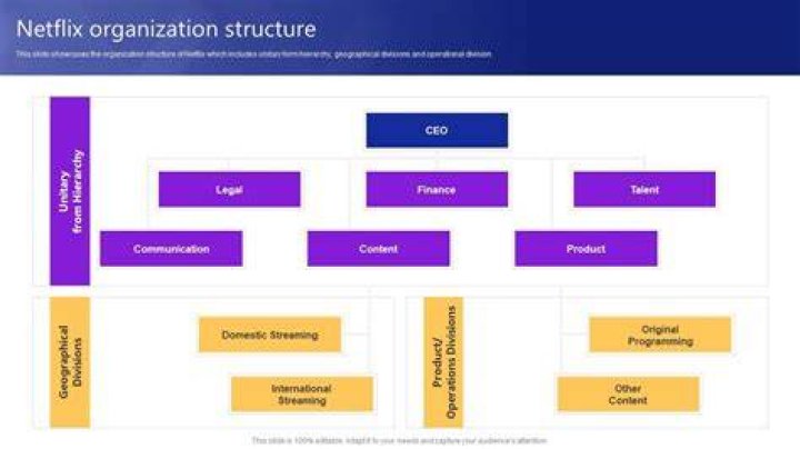 Adult video platform categories and streaming structure