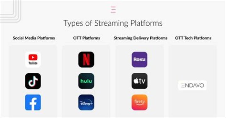 Overview of how adult video streaming platforms work