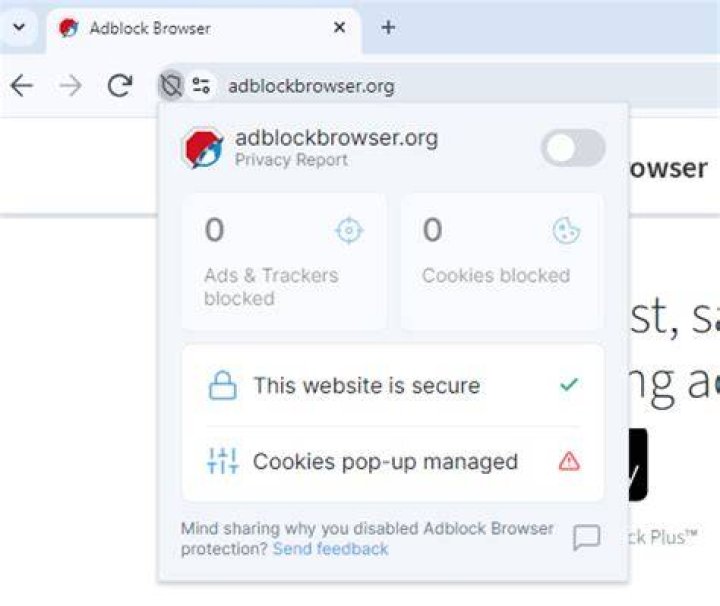 Browser extensions for blocking ads and trackers