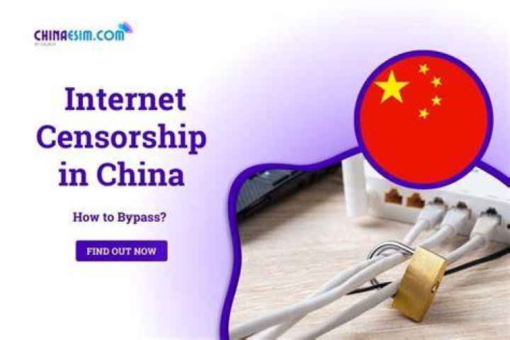 China internet censorship and enforcement of online fiction