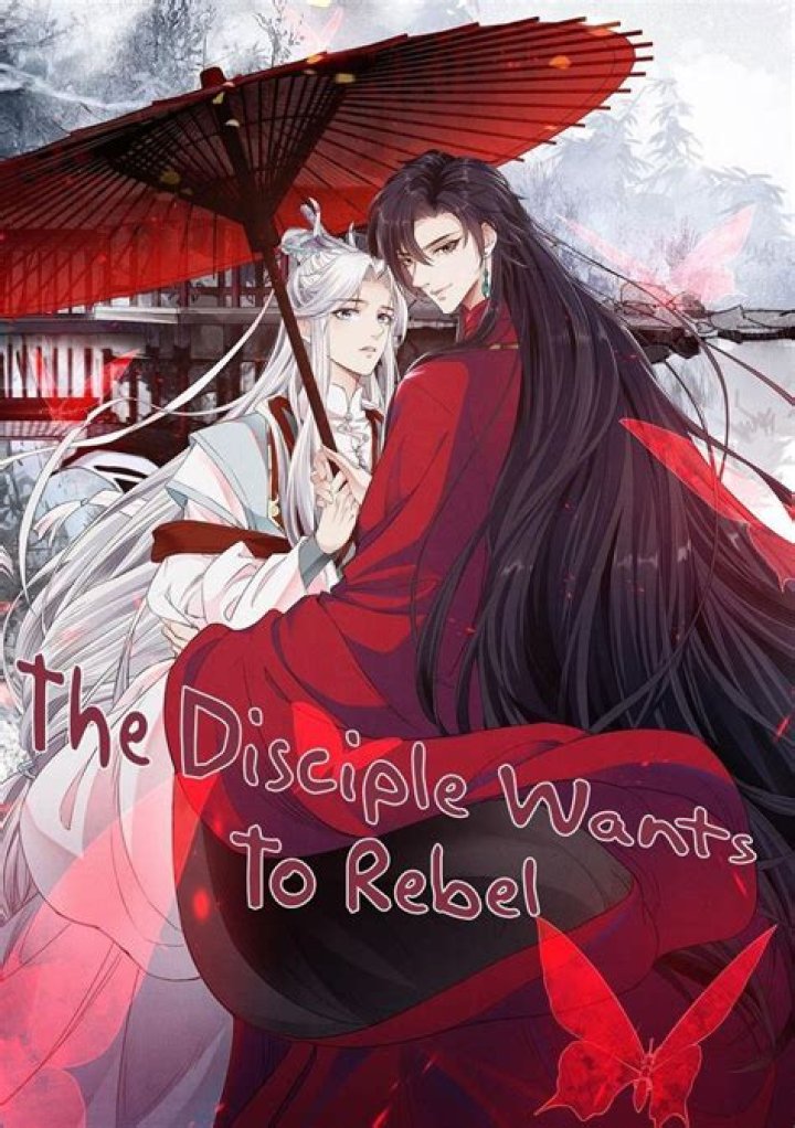 Danmei Chinese adult male romance novels