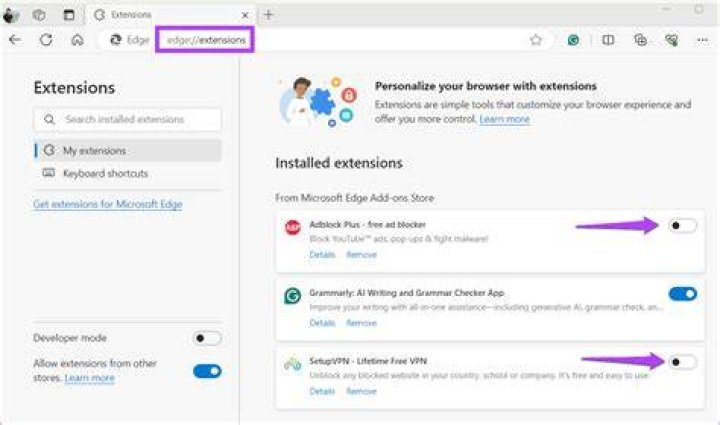 Disabling extensions and ad blockers to fix streaming on adult sites