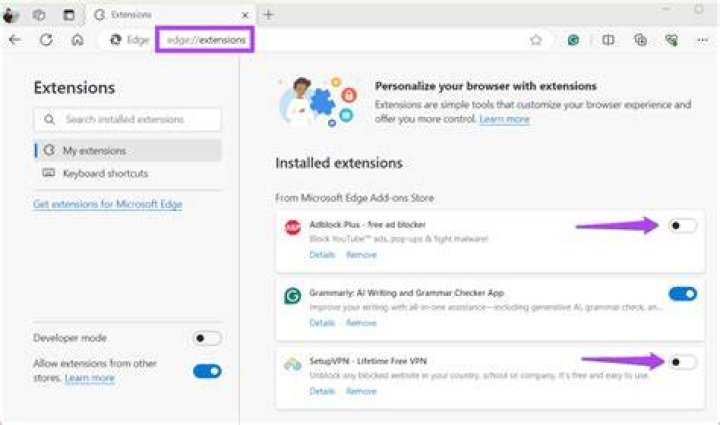 Disabling browser extensions to fix adult streaming website not loading
