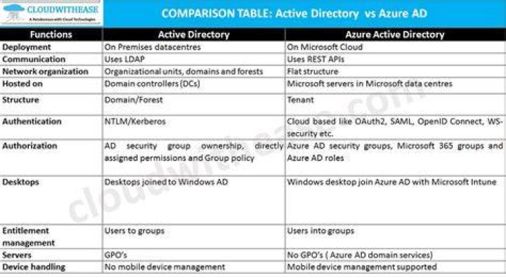 Difference between escort directories and review platforms