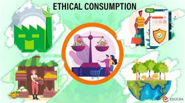 Ethical consumption of adult cam content online