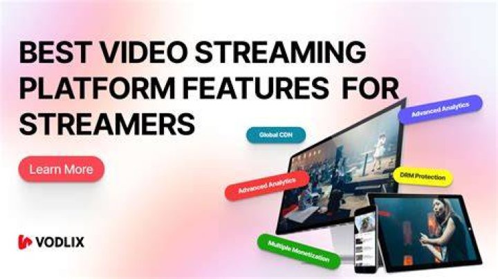 Free plan features and limitations on adult streaming platforms