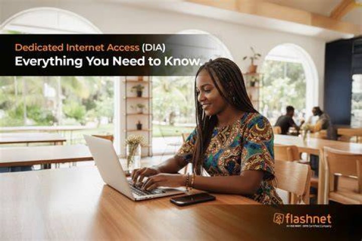 Global internet law and adult content access
