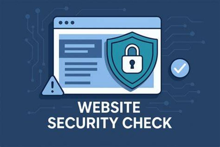 Security check on adult streaming website safety