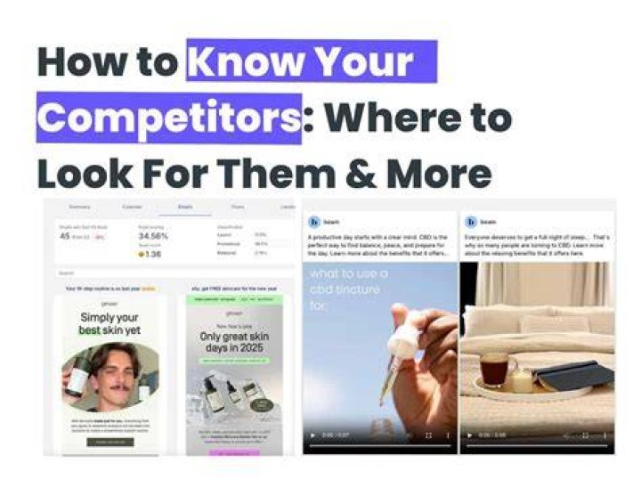 Leaked media website landscape and competitors