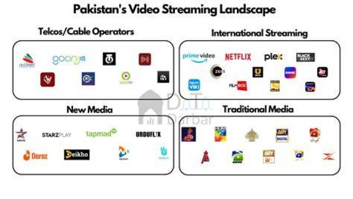 Niche adult video streaming landscape