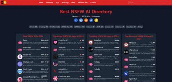 NSFW content directory categories overview