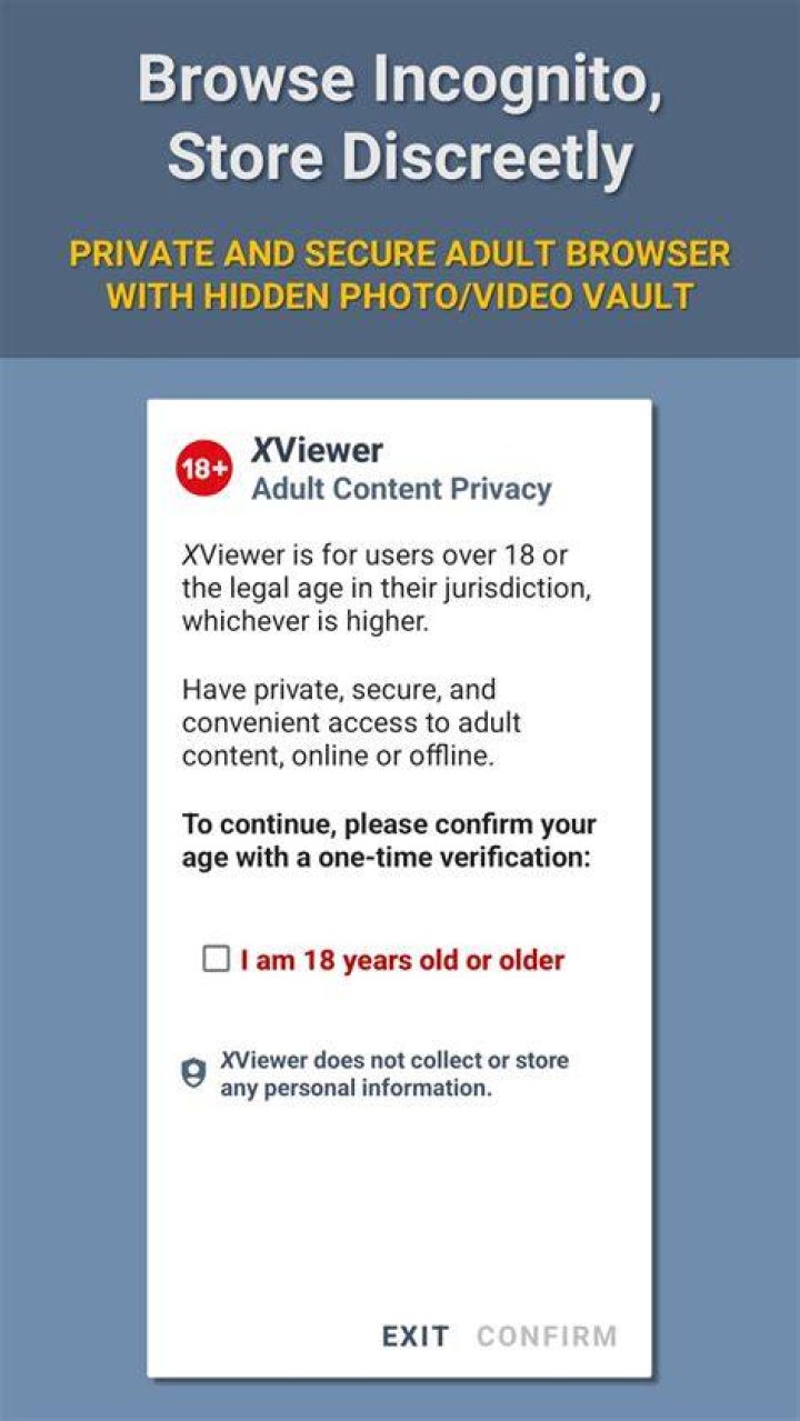 Online privacy and security for adult website browsing