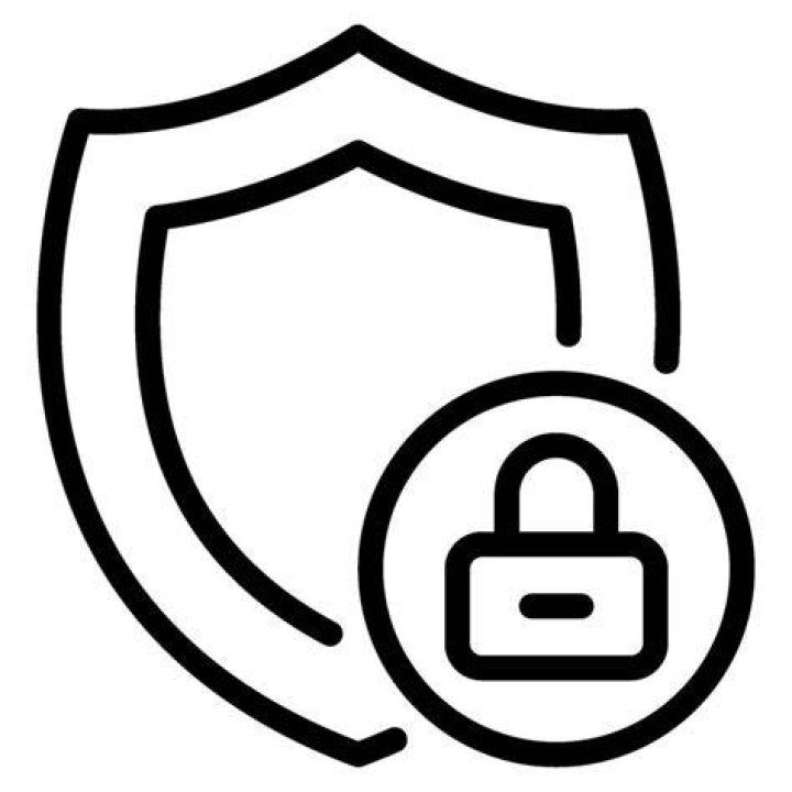 Privacy Shield Concept