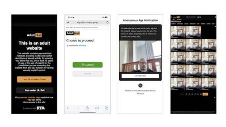 Privacy and safety considerations for online streaming