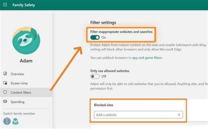 Safe browsing content filter settings and user control