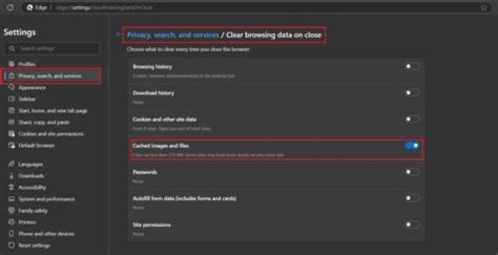 Clearing browser cache to fix streaming issues
