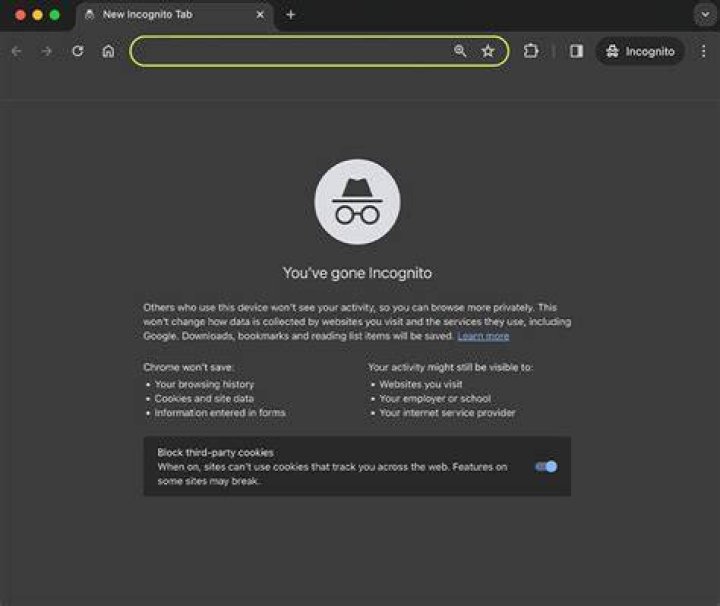 Using a different browser or incognito mode to fix website access