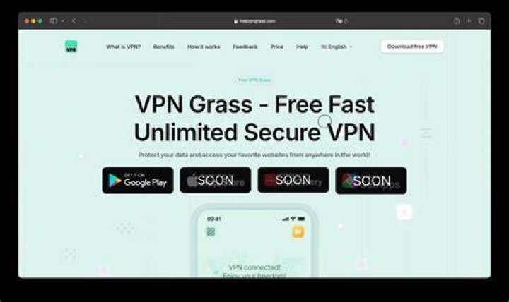 VPN protecting identity while browsing adult websites